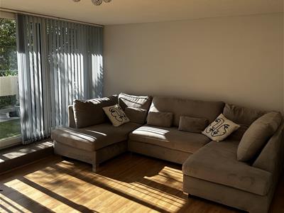 Picture 8